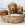 Goldendoodle